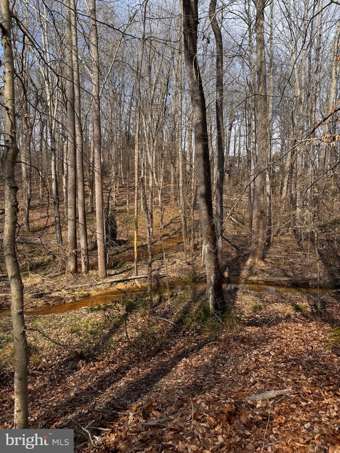 60 Spring Hill Ct