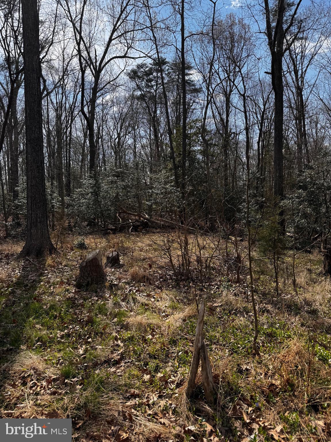 60 Spring Hill Ct