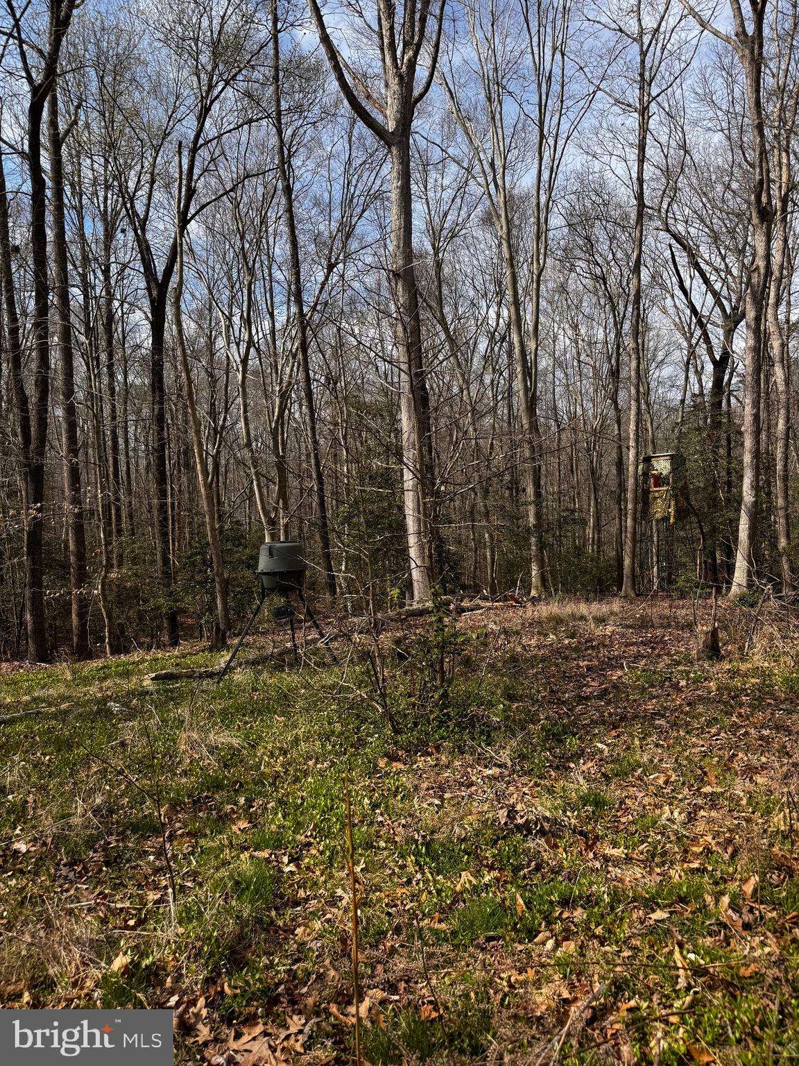 60 Spring Hill Ct