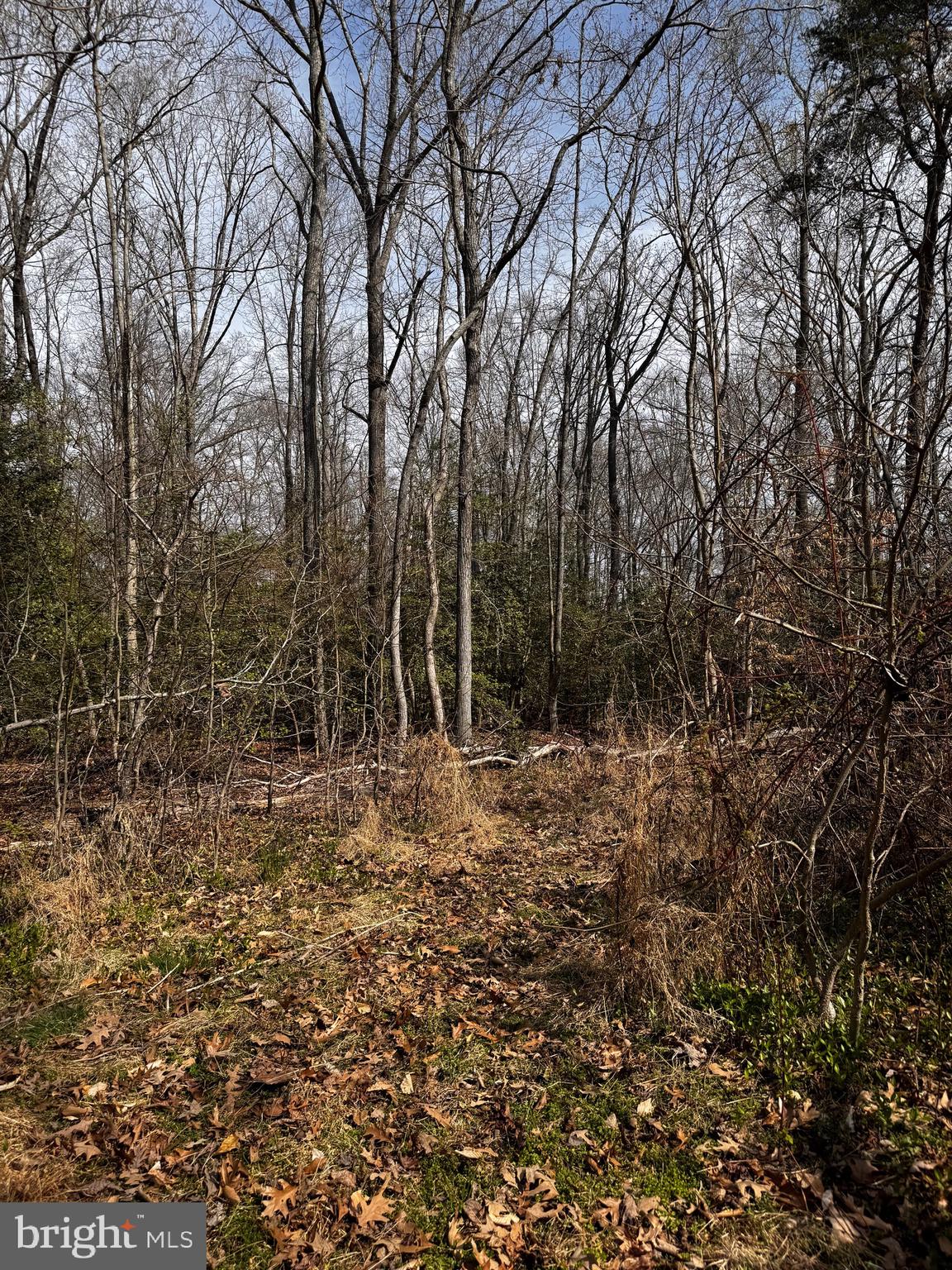 60 Spring Hill Ct
