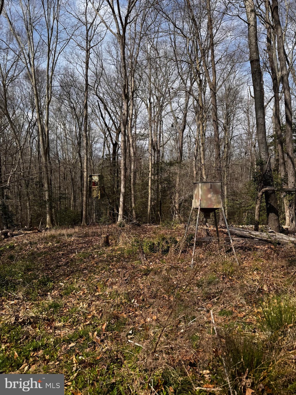 60 Spring Hill Ct