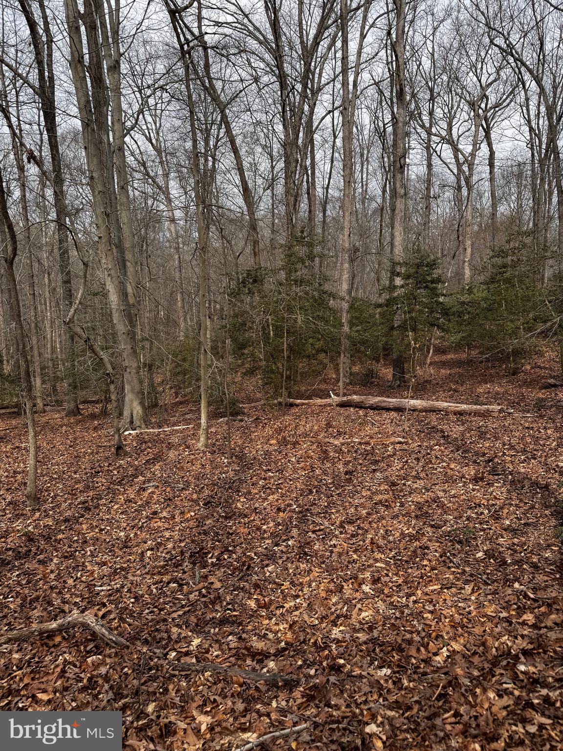 60 Spring Hill Ct