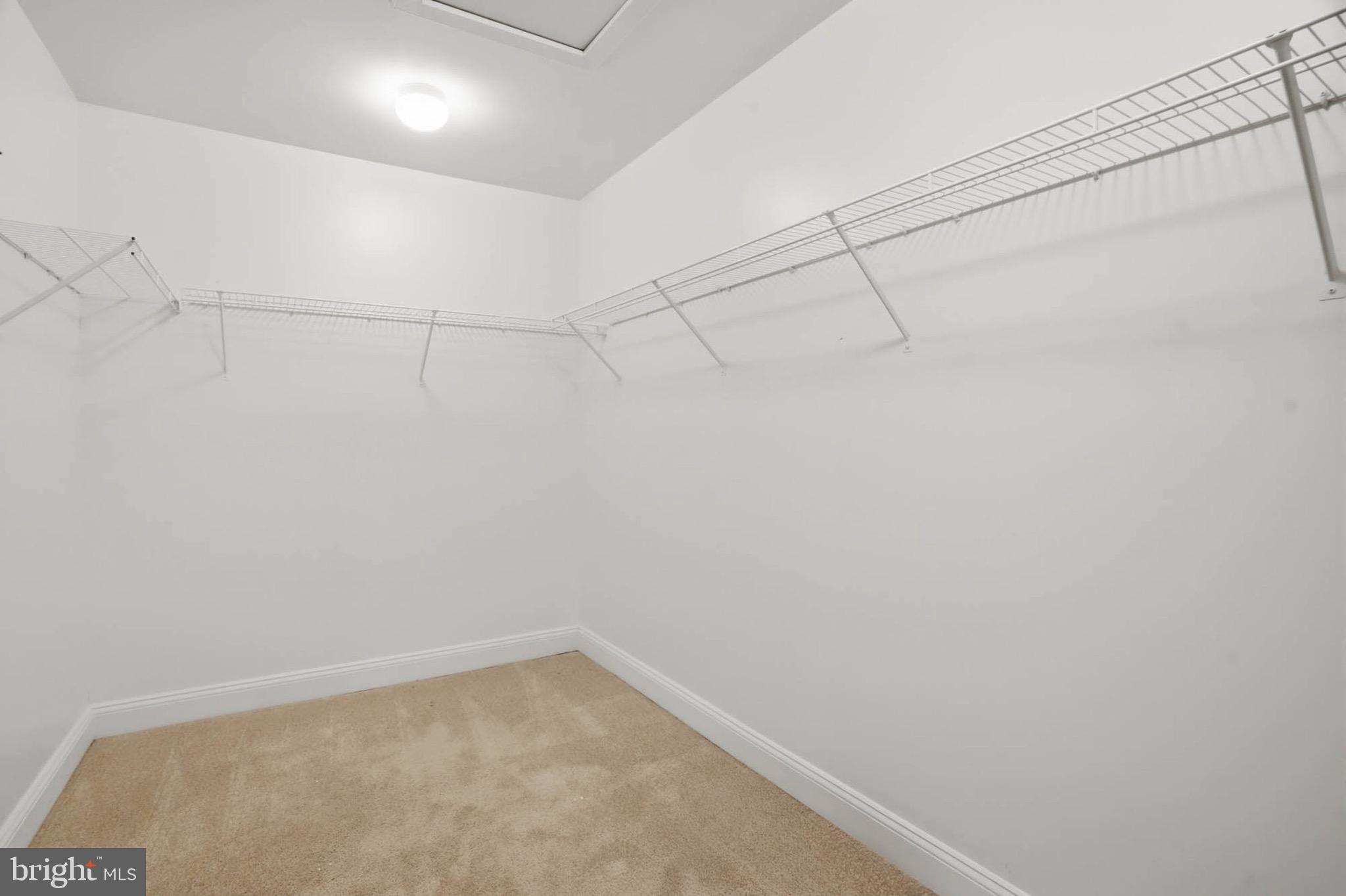 8704 TIMBER OAK LANE