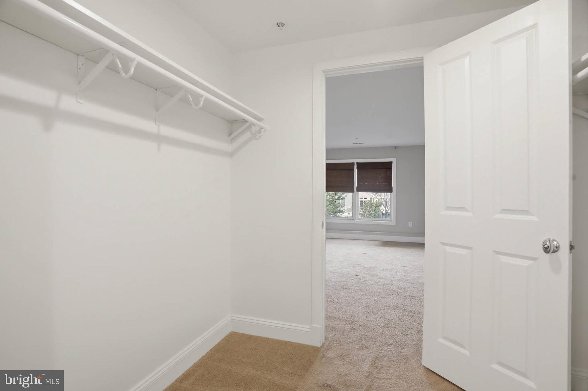 8704 TIMBER OAK LANE