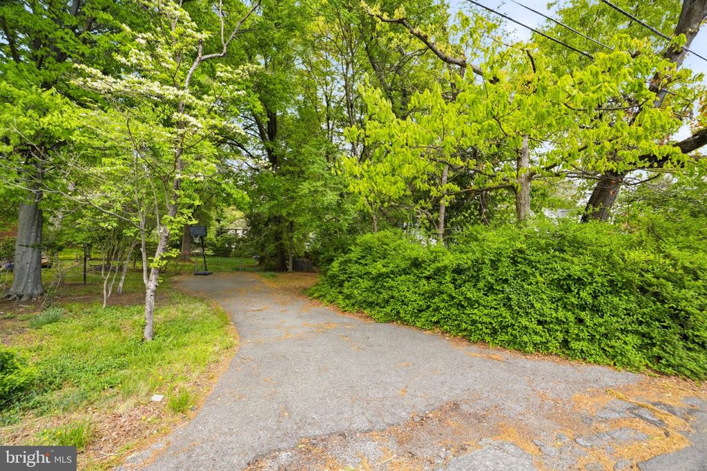 PARKMAN ROAD
