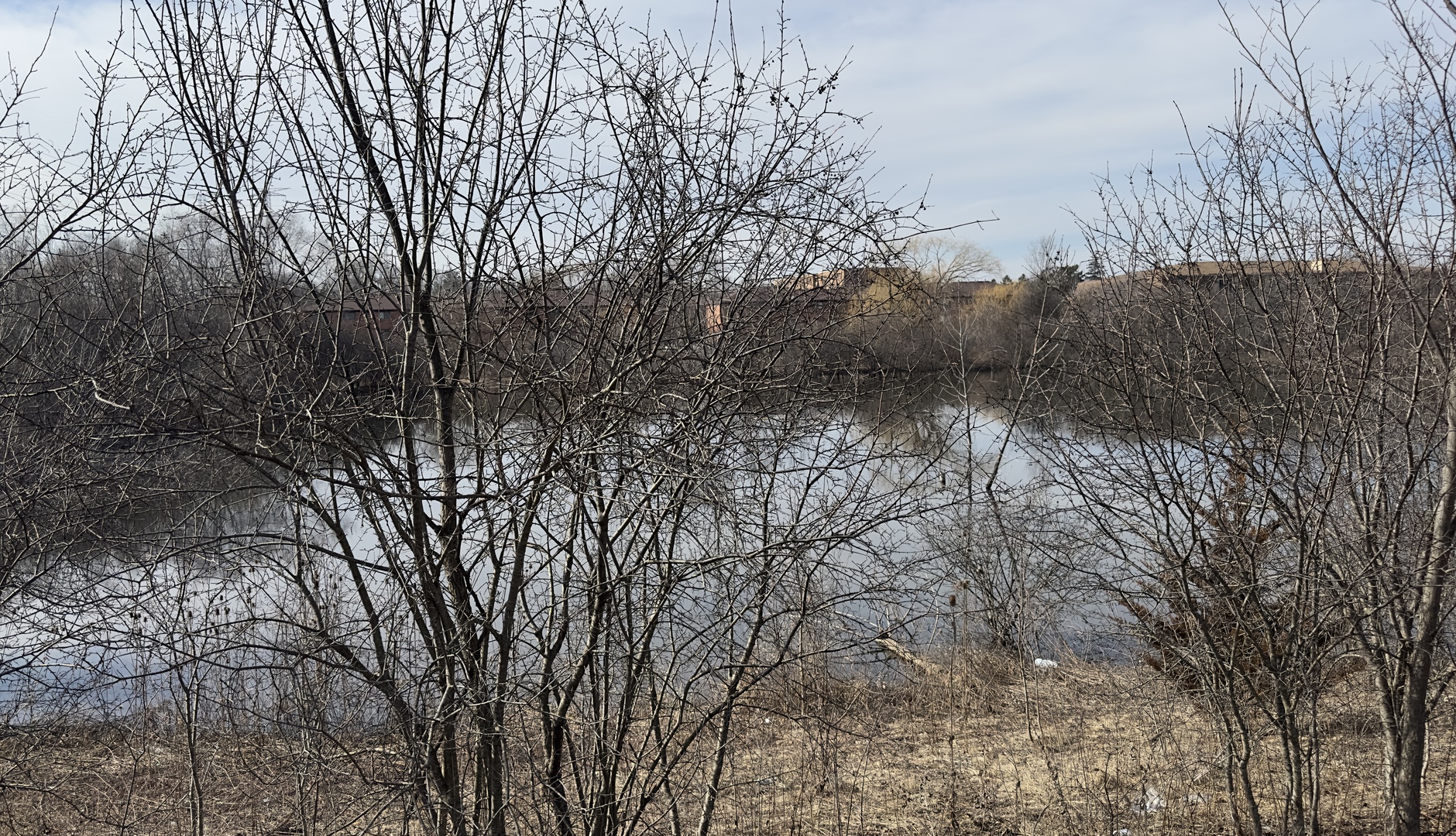 1002 Spruce Street Unit: 2B