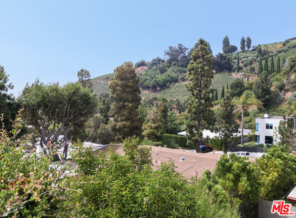 1279 El Hito Cir