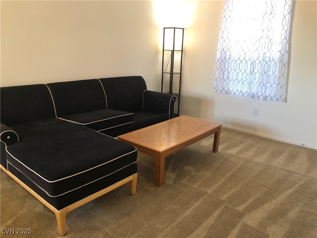 11384 McKinney Falls Street