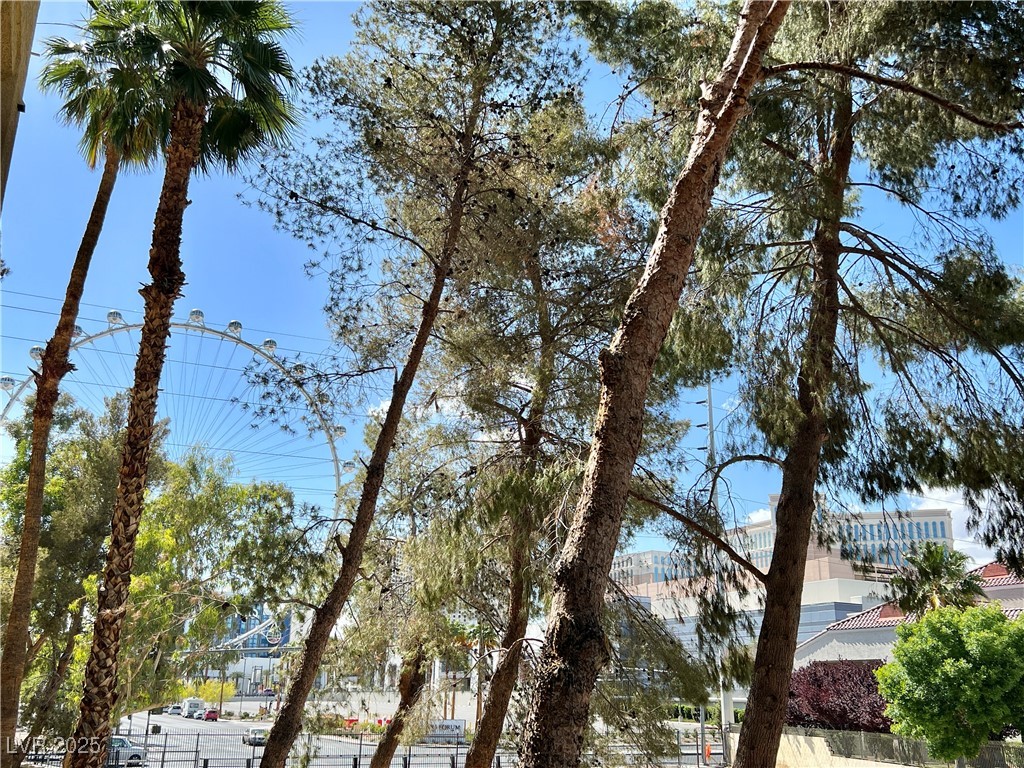 210 East Flamingo Road 118