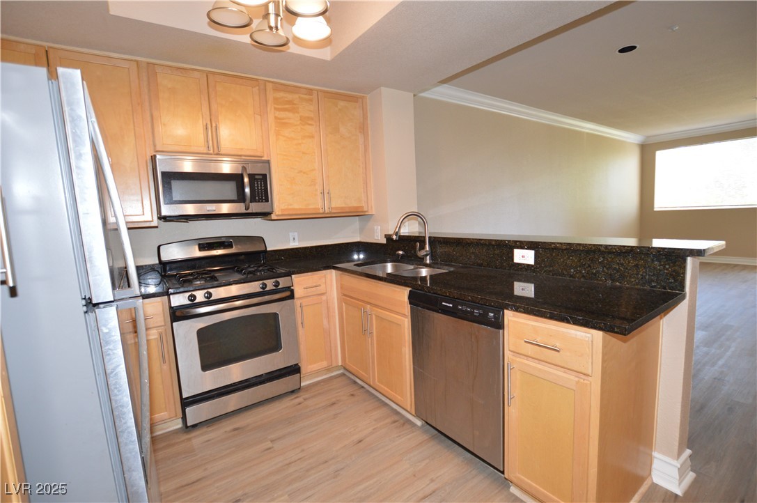 220 East Flamingo Road 116