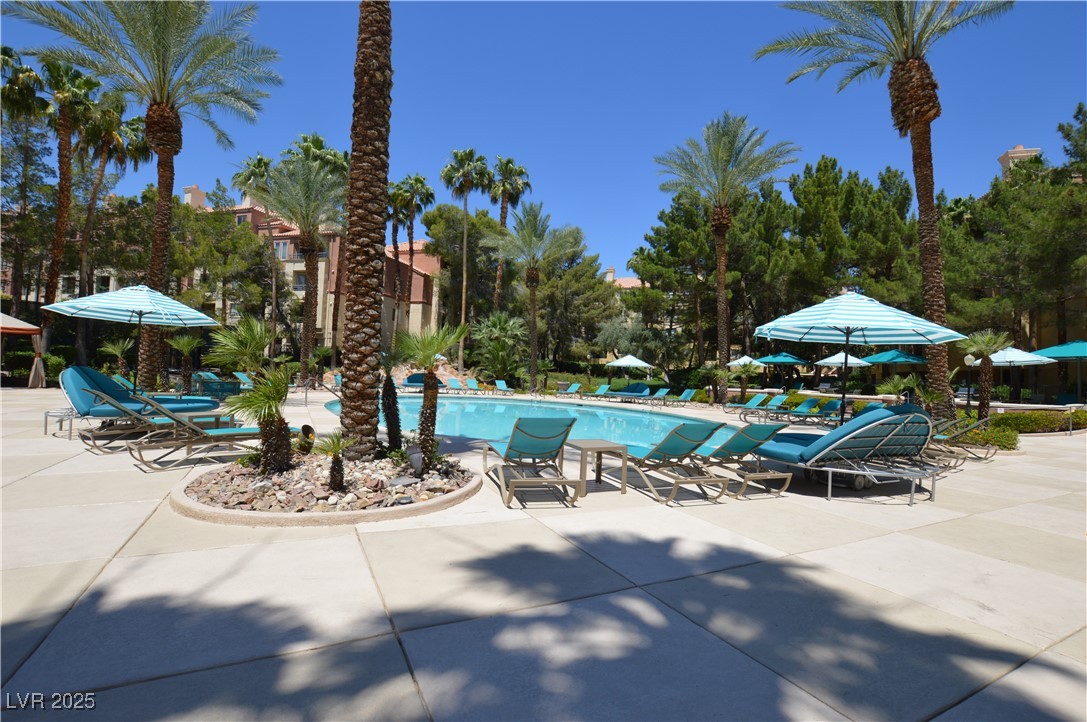 210 East Flamingo Road 419