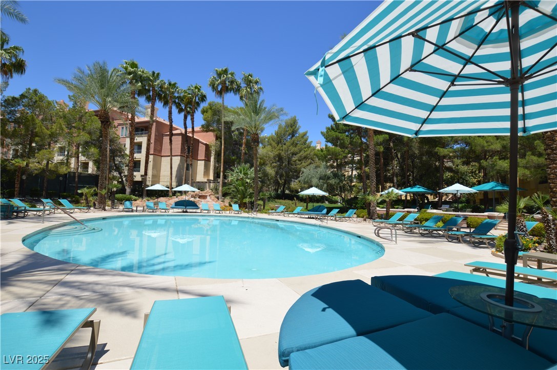 210 East Flamingo Road 419