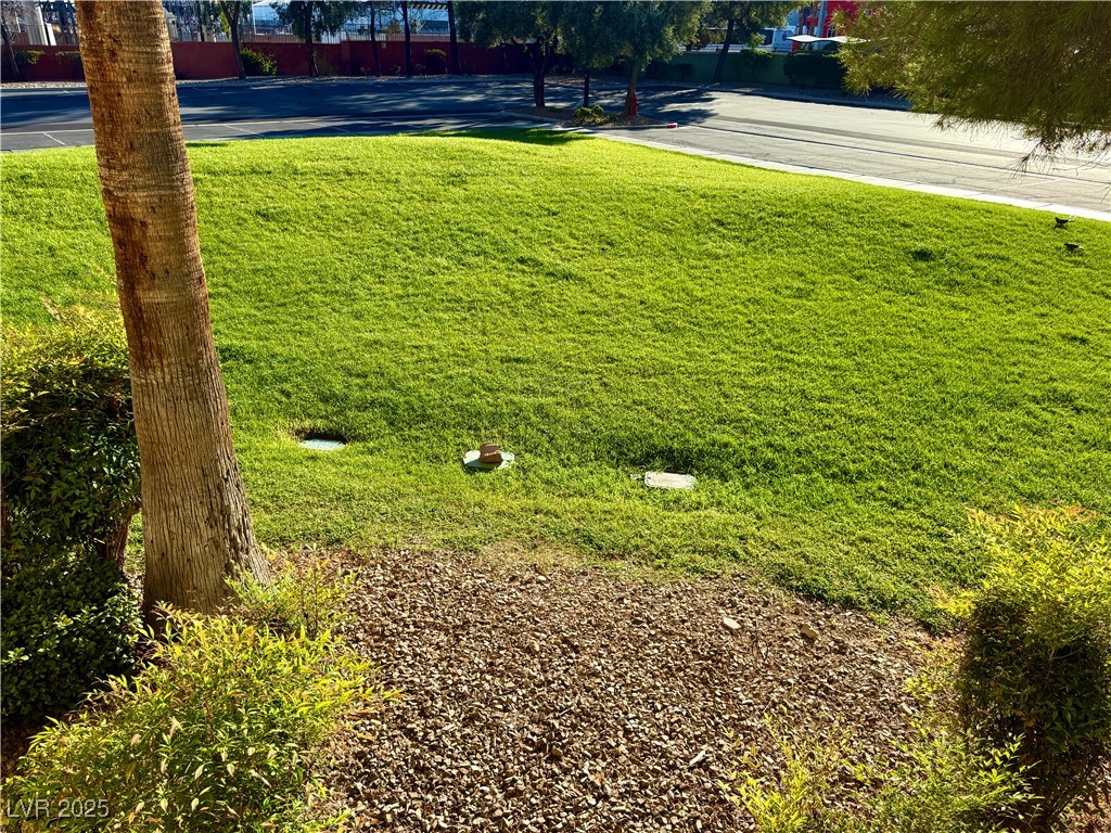 220 East Flamingo Road 125