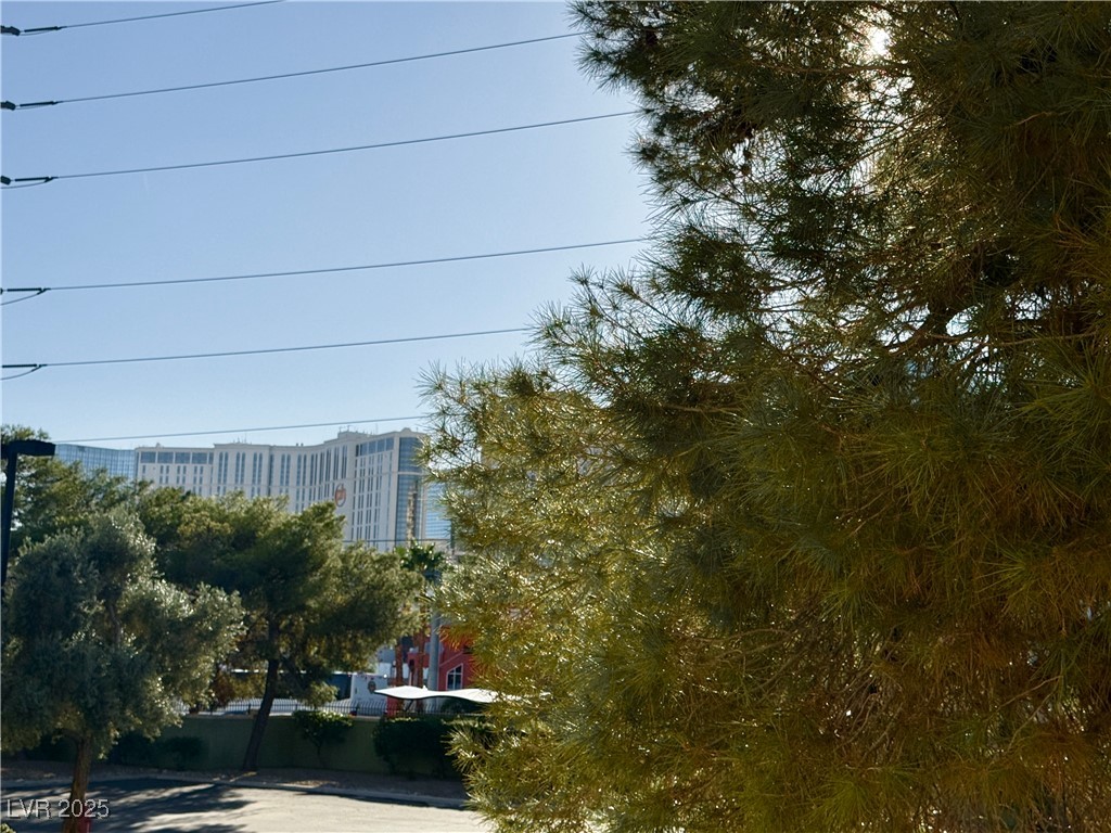 220 East Flamingo Road 125