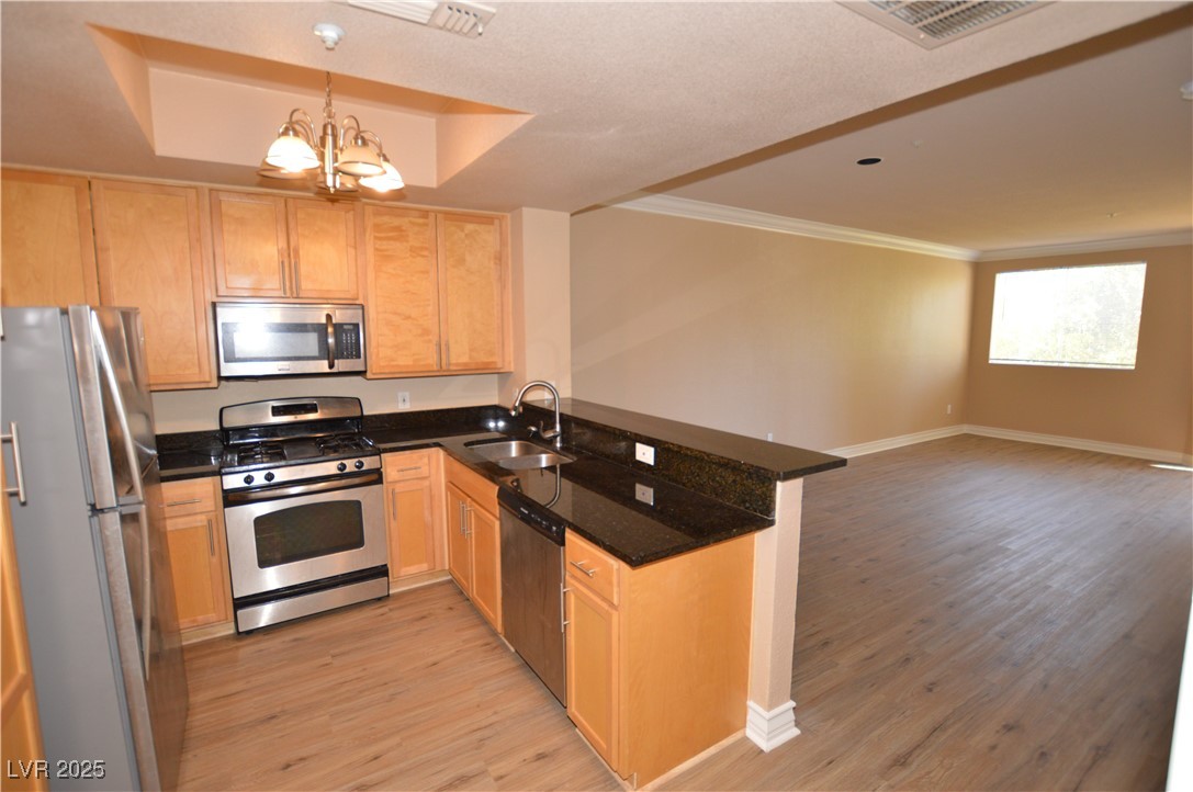 220 East Flamingo Road 116