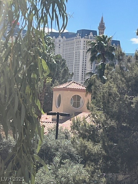 270 East Flamingo Road 205