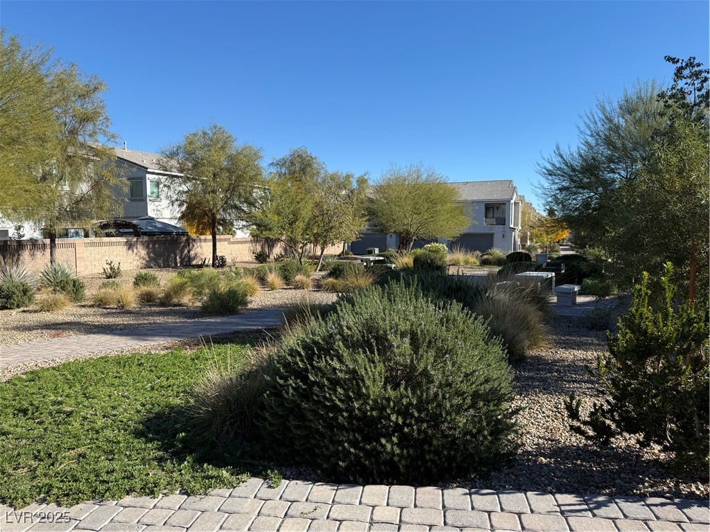 2585 Amazing Meadows Avenue 1006