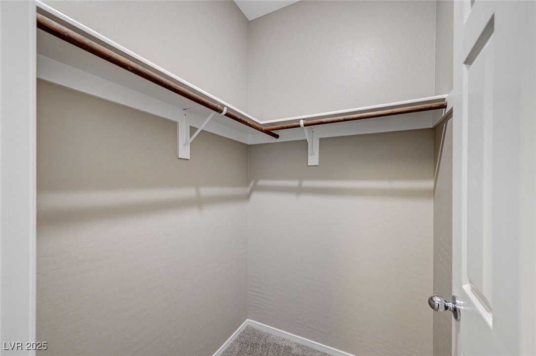 2585 Amazing Meadows Avenue 1006