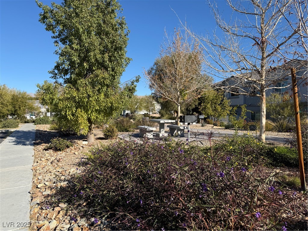 2585 Amazing Meadows Avenue 1006