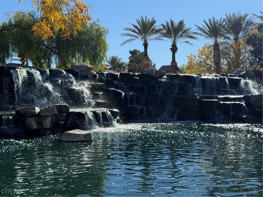 2585 Amazing Meadows Avenue 1006