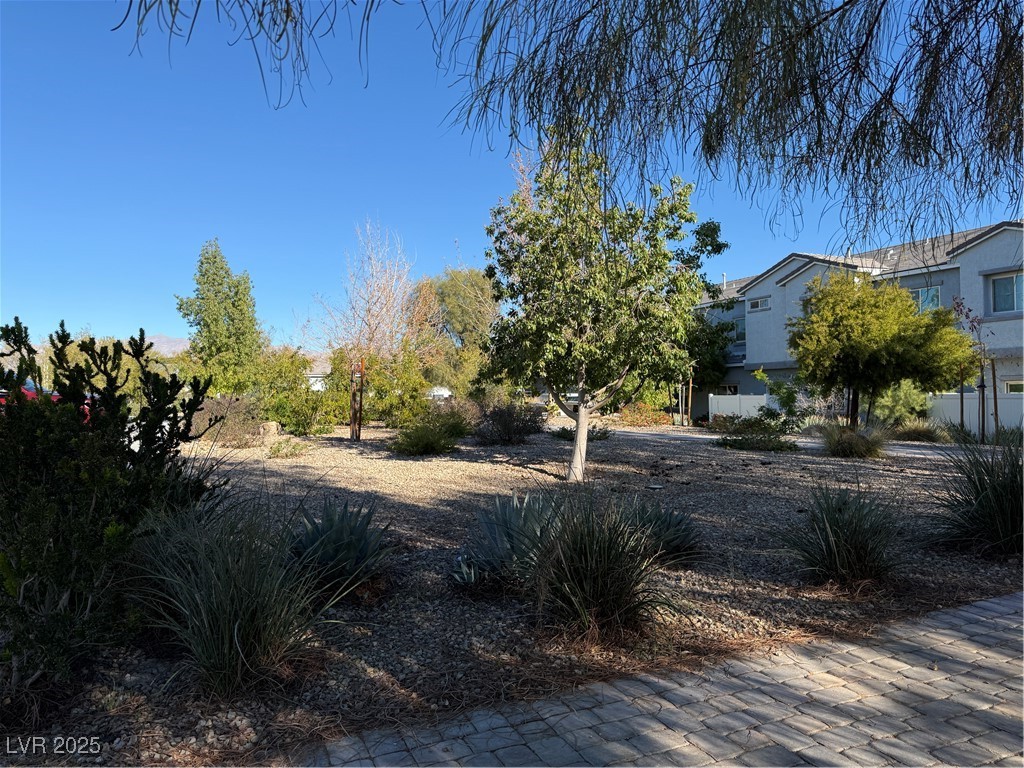 2585 Amazing Meadows Avenue 1006