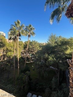 230 East Flamingo Road 406