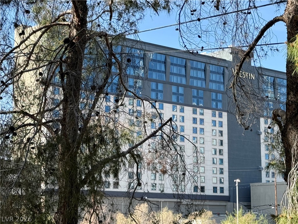 210 East Flamingo Road 110