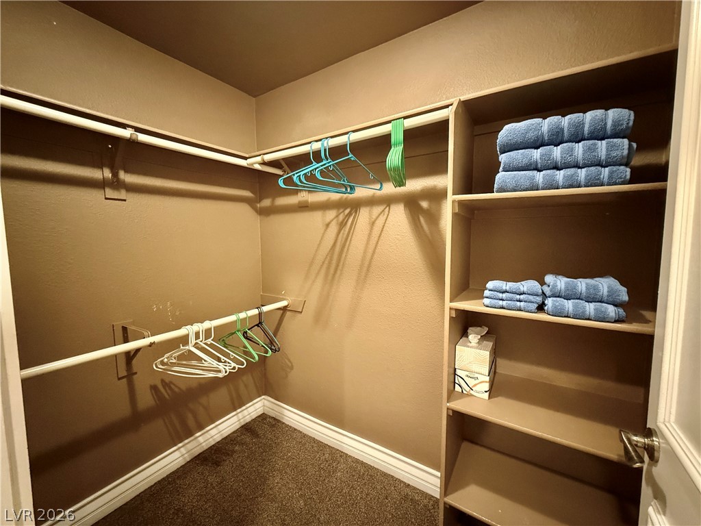 210 East Flamingo Road 110