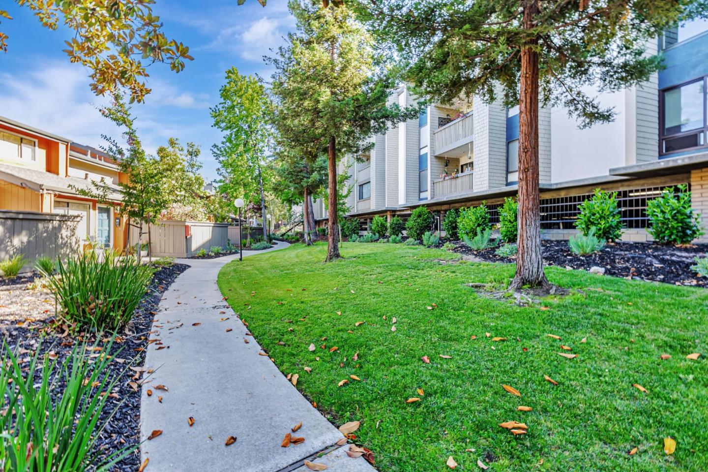 49 Showers Drive W203