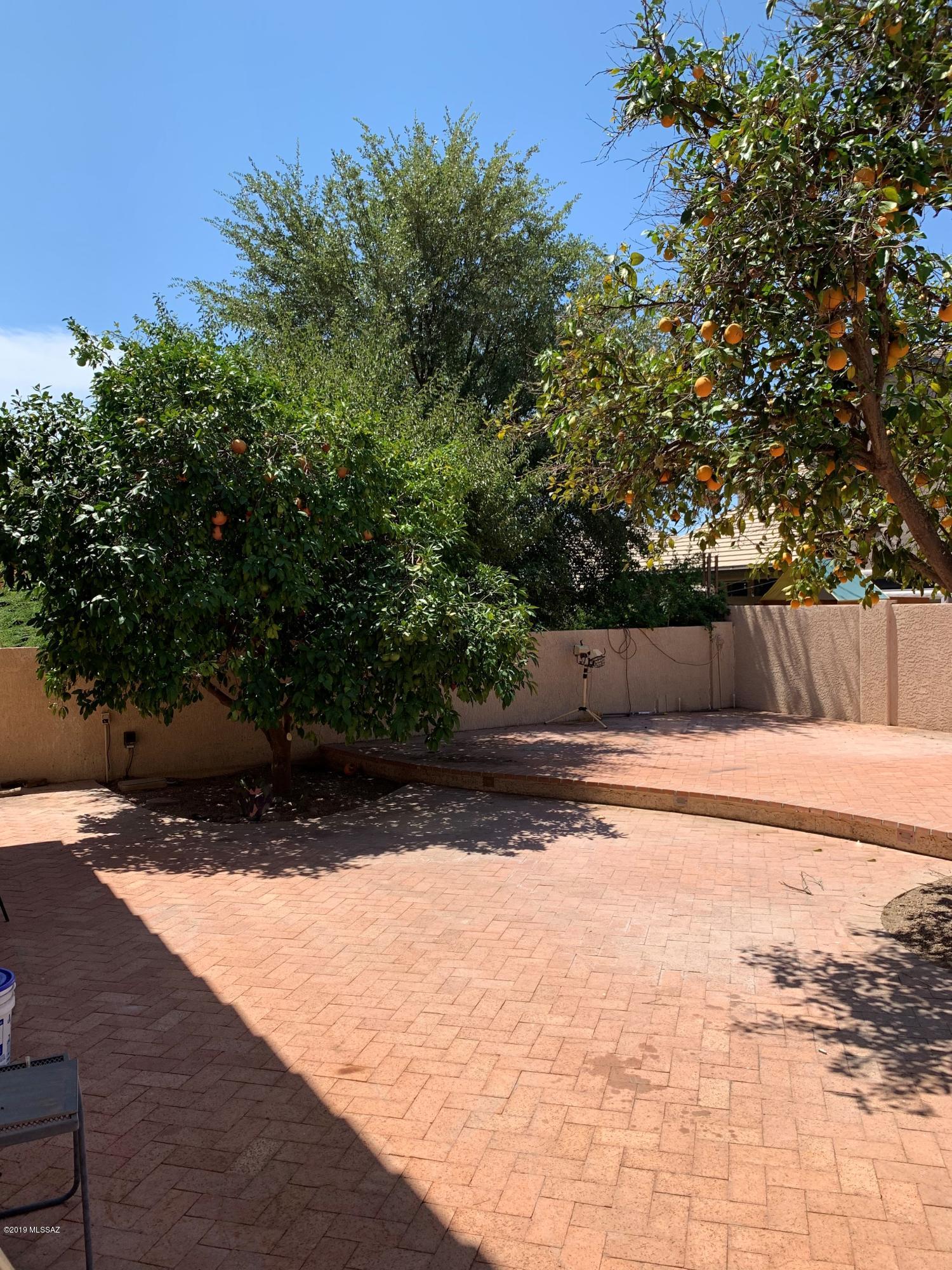 11067 N Cloud View Place