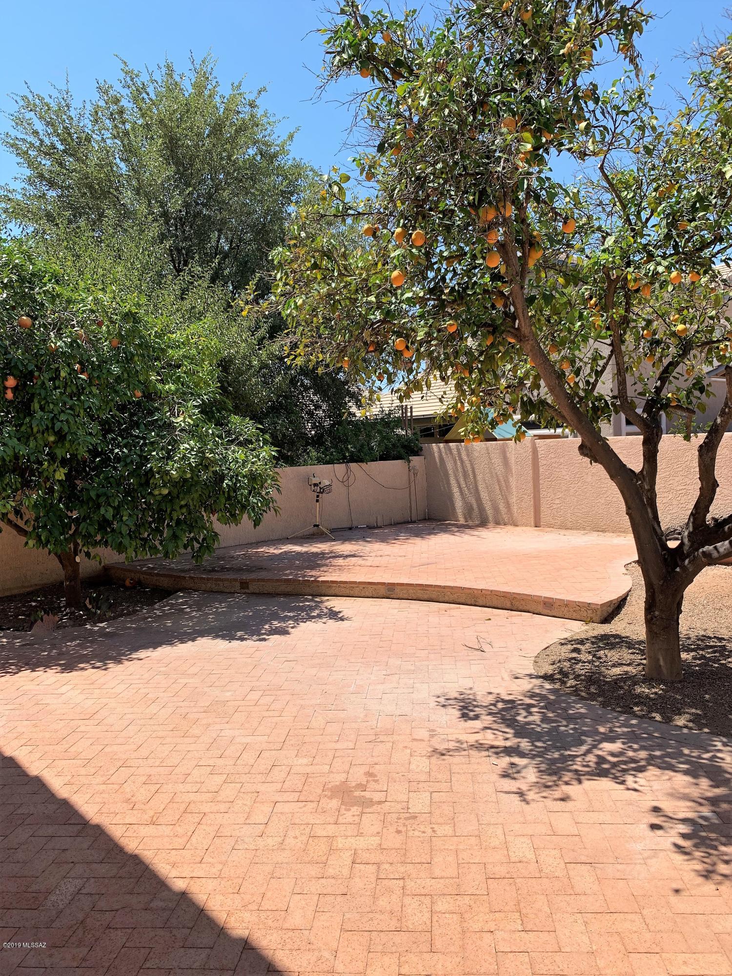 11067 N Cloud View Place