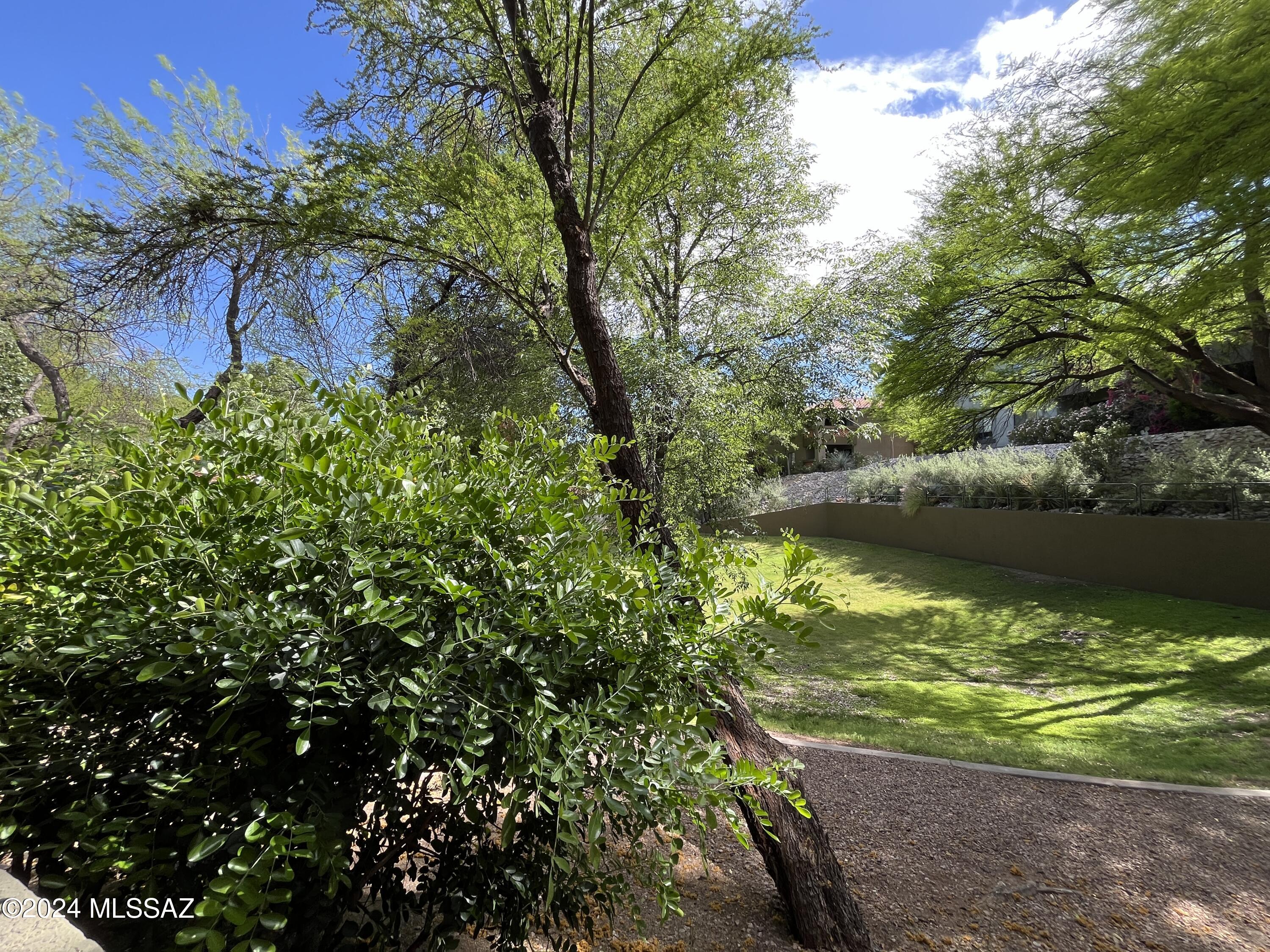 5751 N Kolb Road Unit: 2102