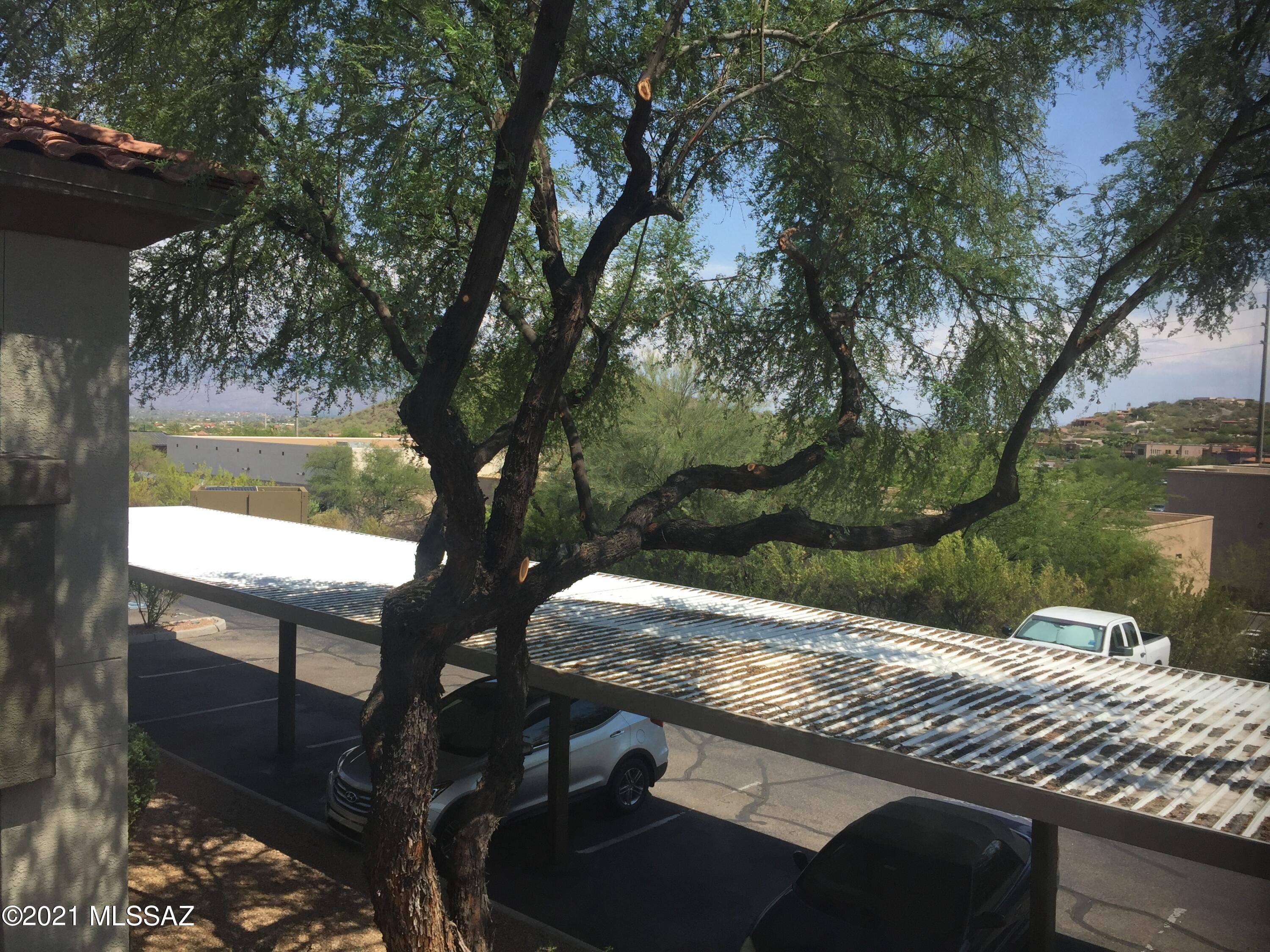 5751 N Kolb Road Unit: 29204