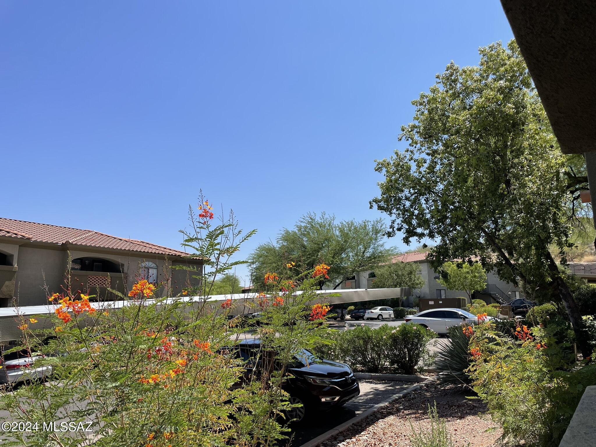 5751 N Kolb Road N Unit: 14101