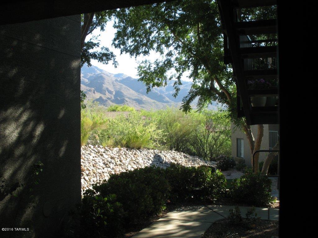 5751 N Kolb Road N Unit: 14101