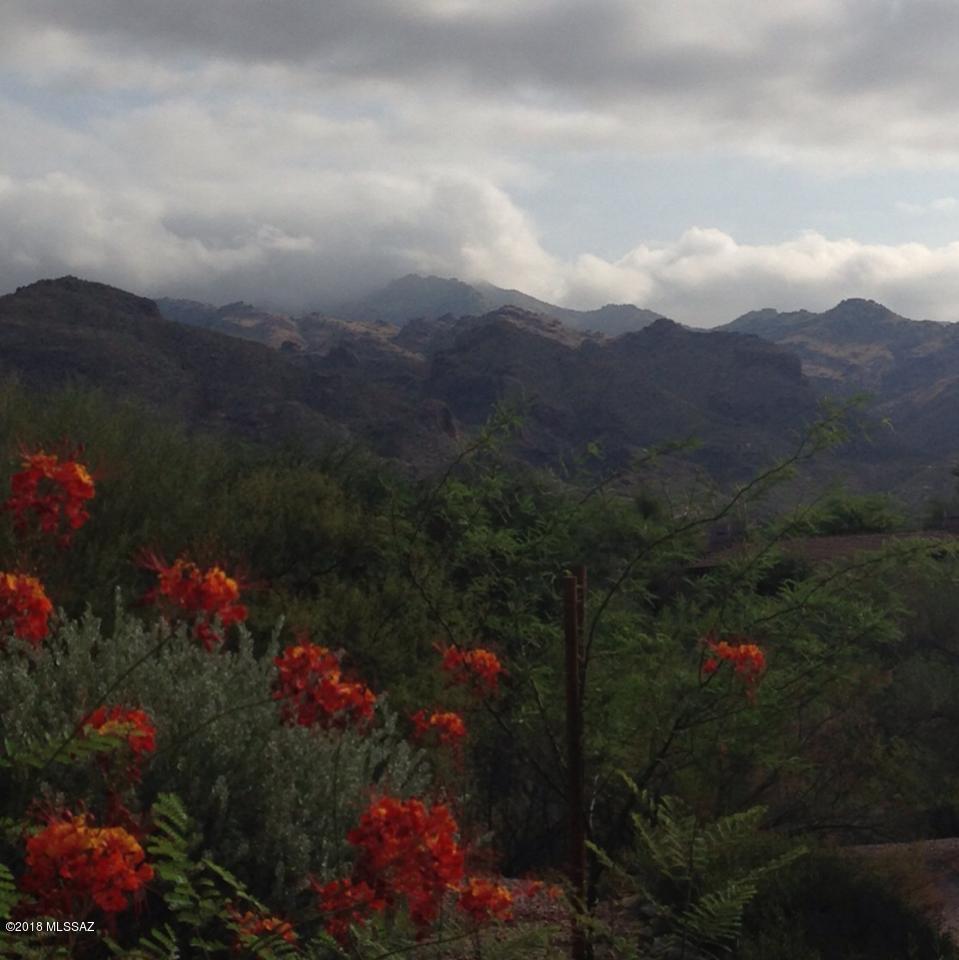 5751 N Kolb Road N Unit: 14102