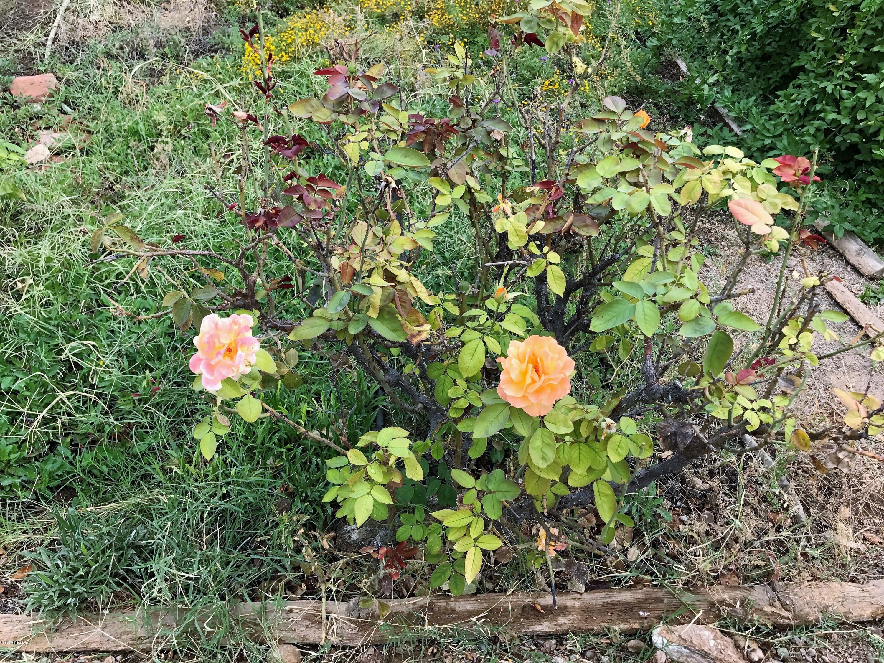 2622 E Edison Street