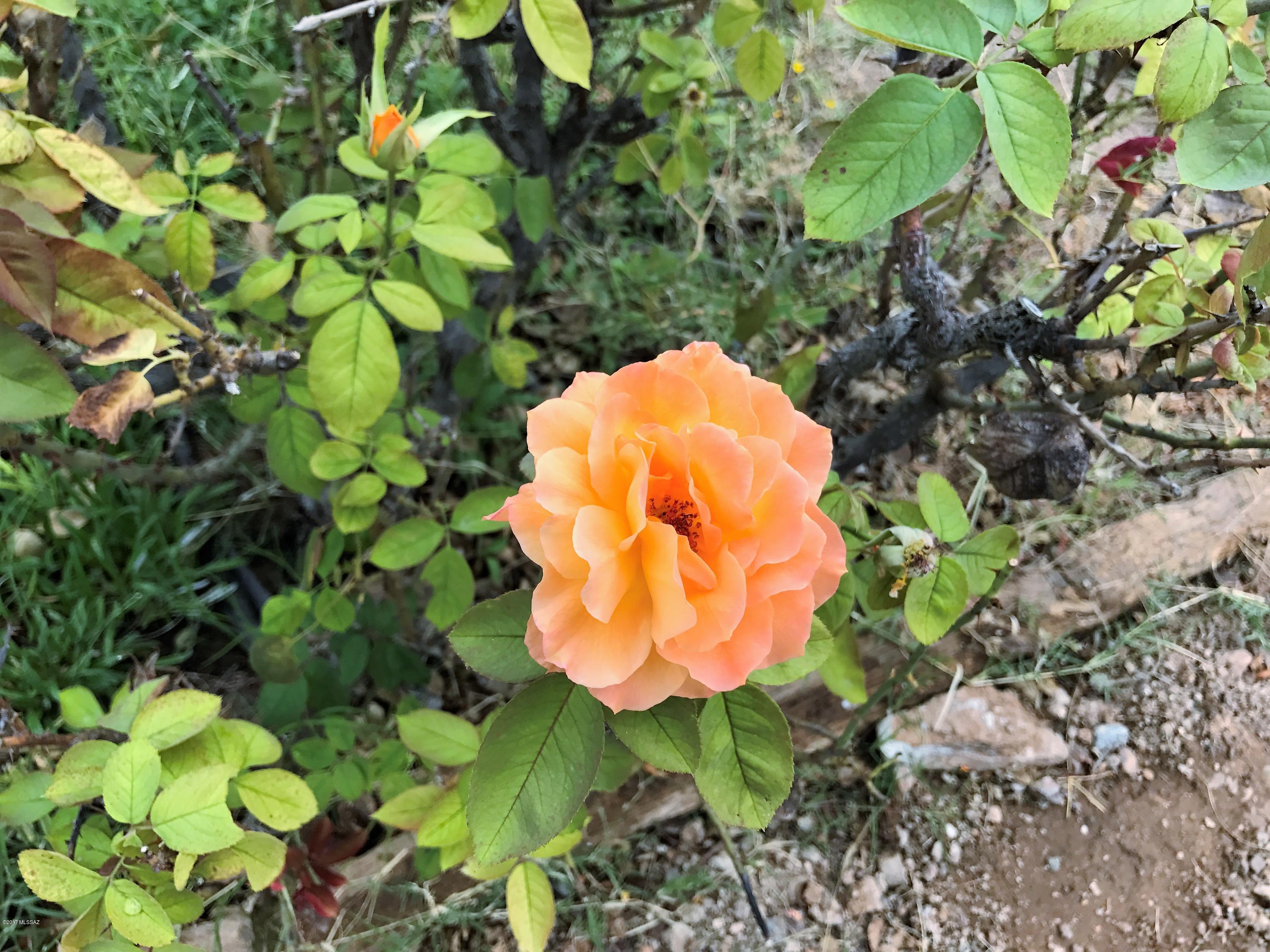 2622 E Edison Street