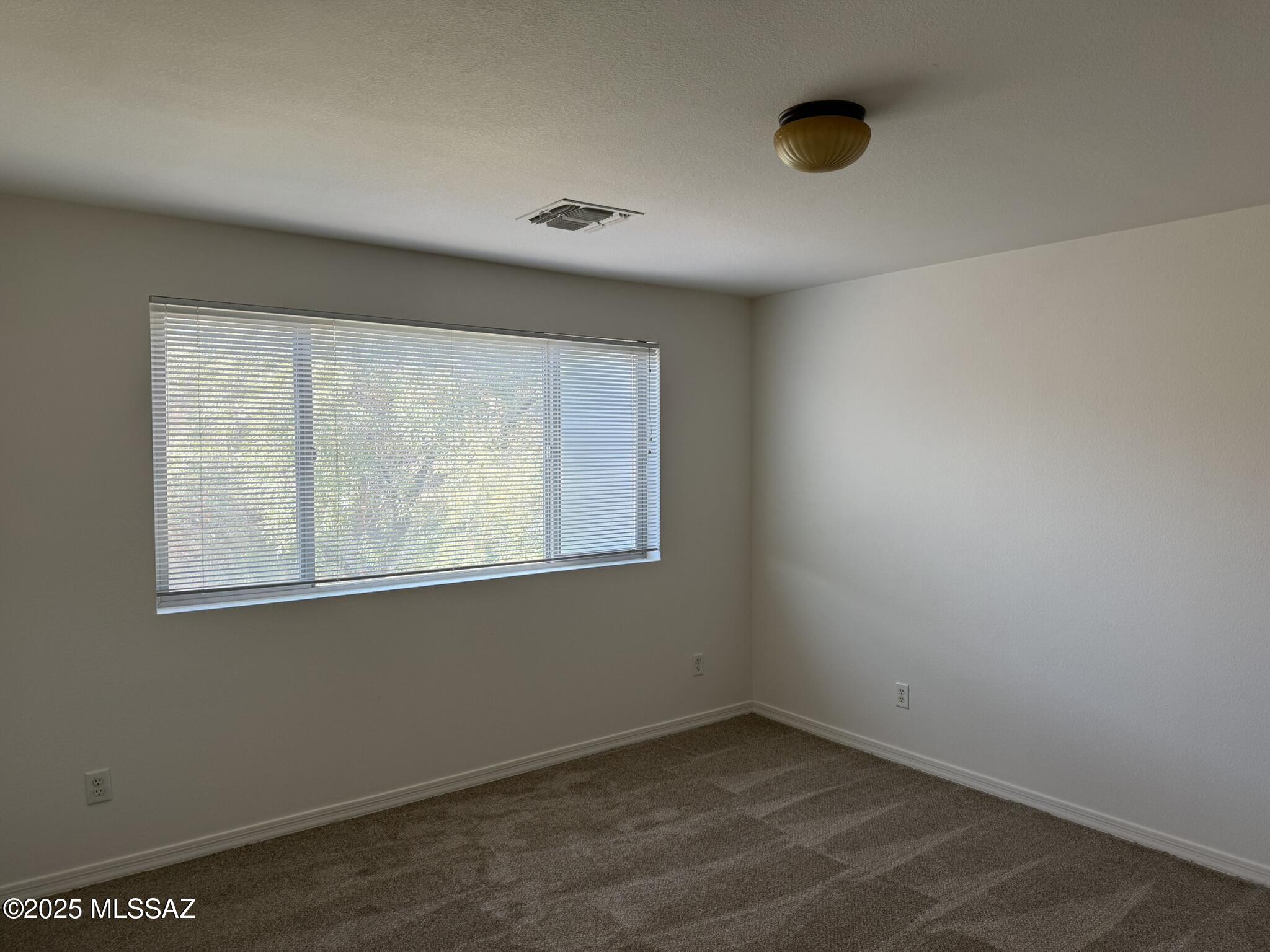 114 E Calle Del Rondador