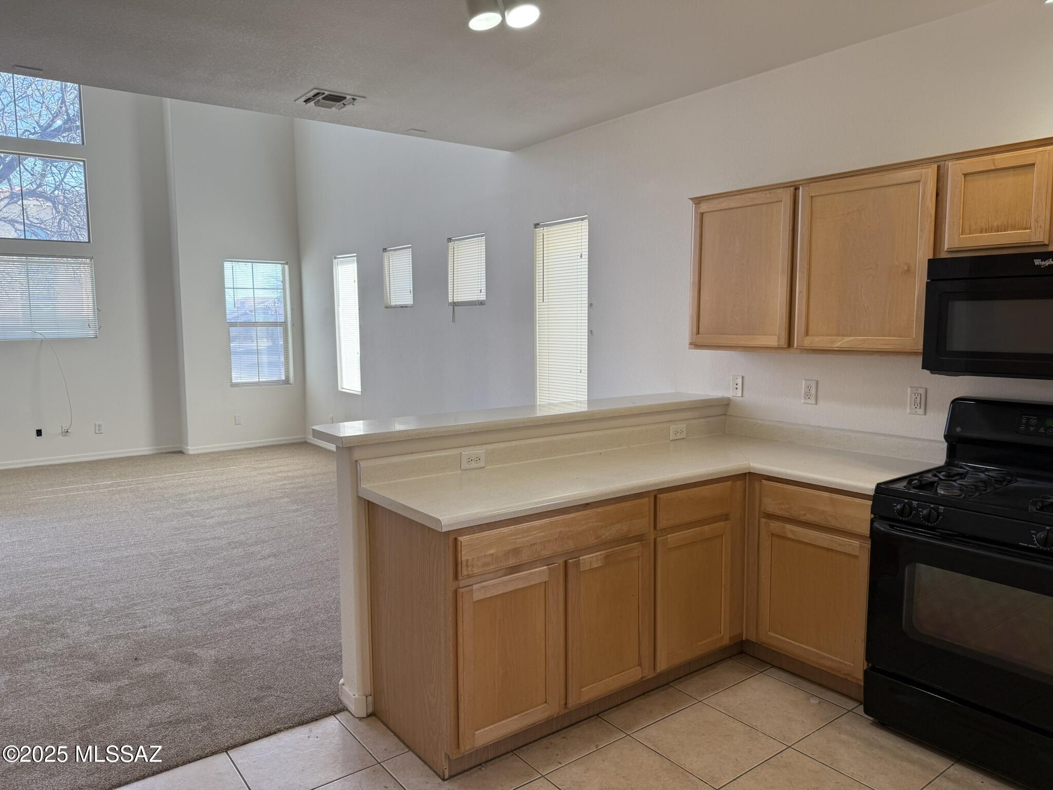 114 E Calle Del Rondador