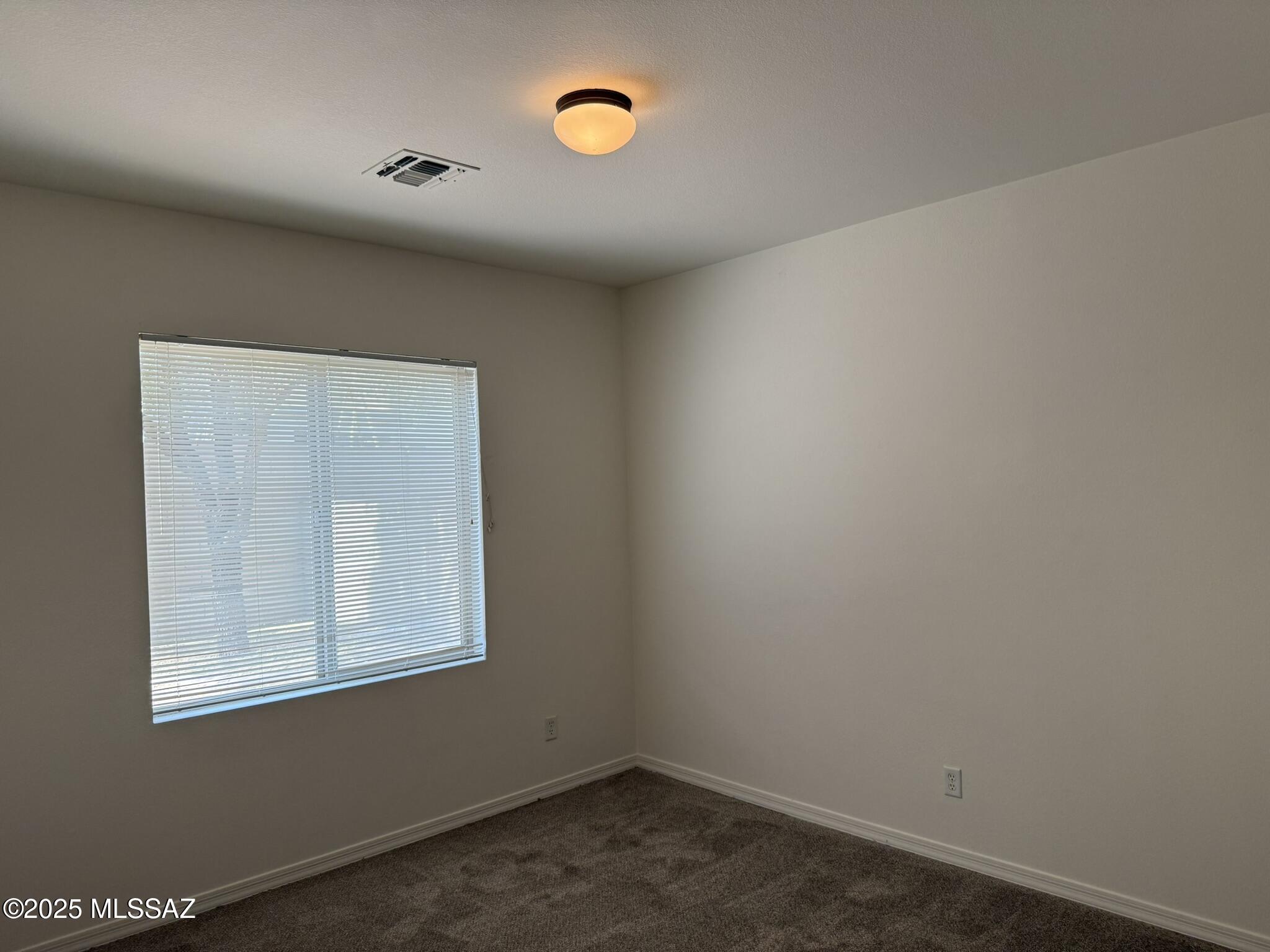 114 E Calle Del Rondador