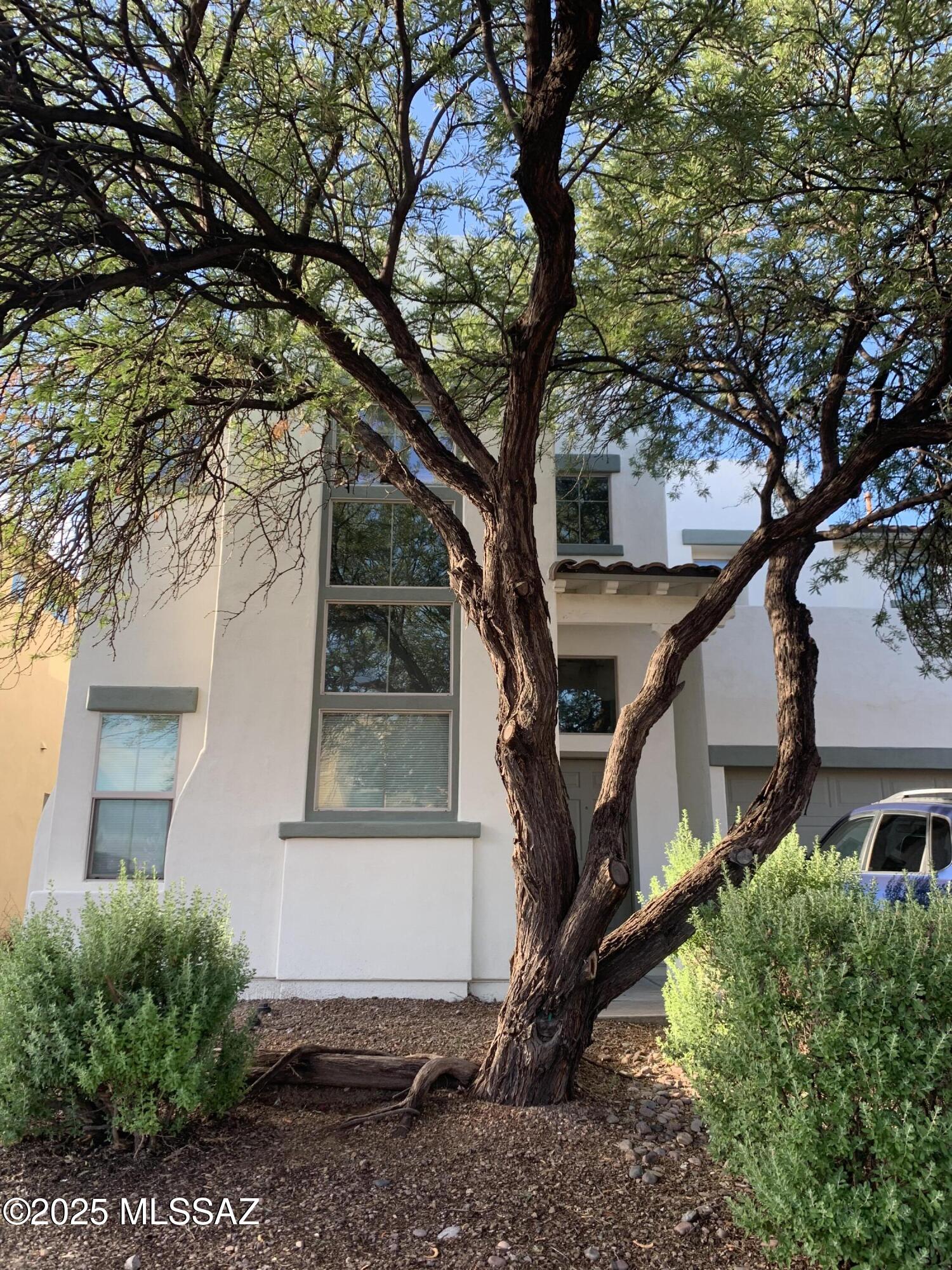 114 E Calle Del Rondador