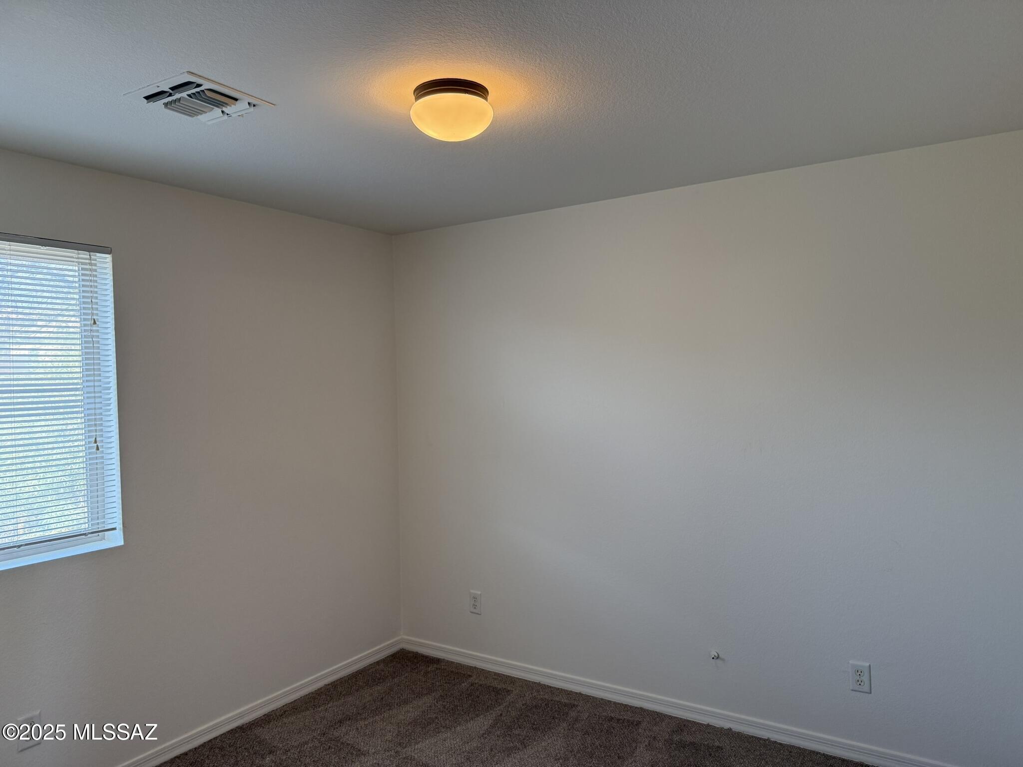 114 E Calle Del Rondador