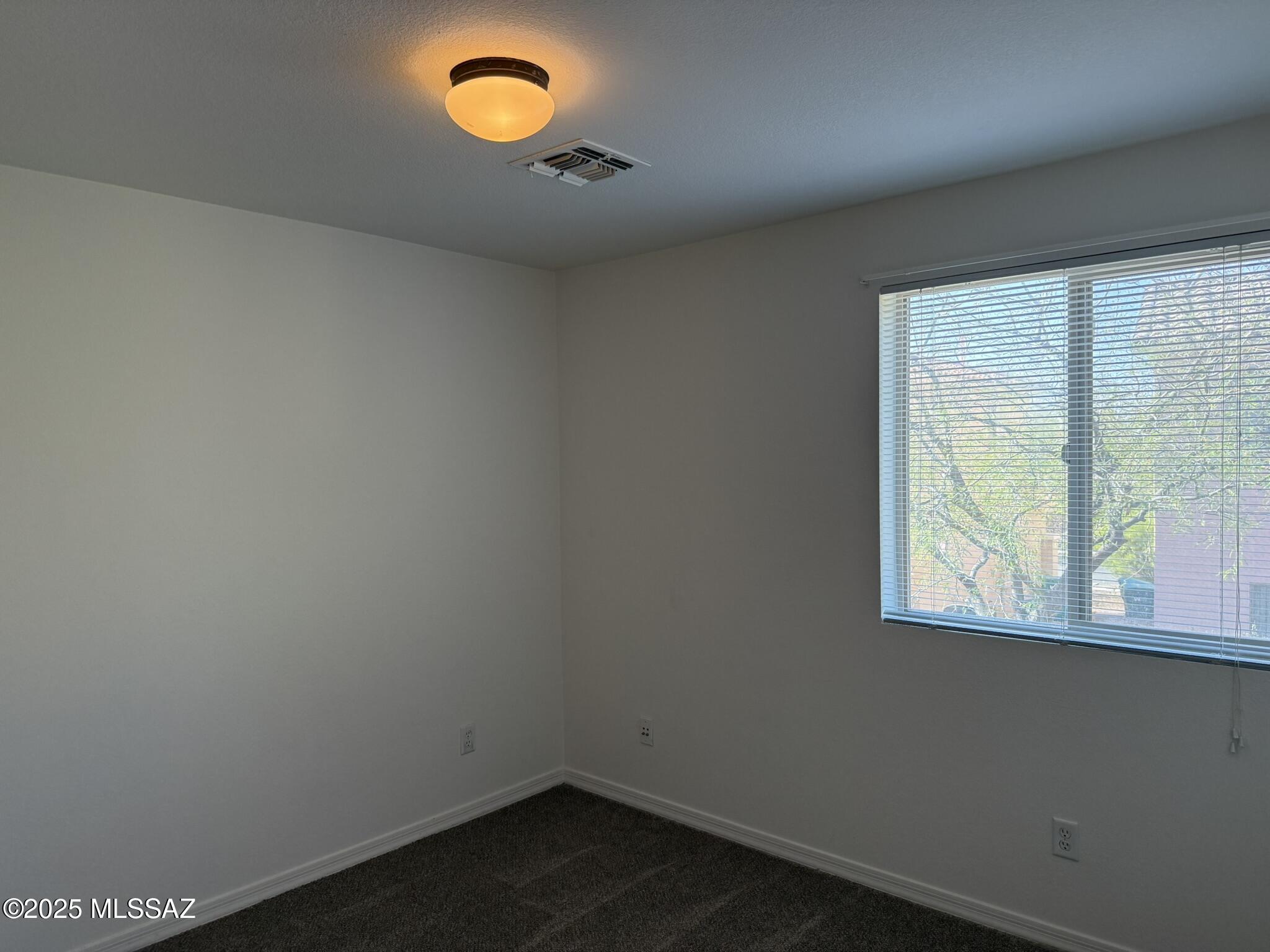 114 E Calle Del Rondador