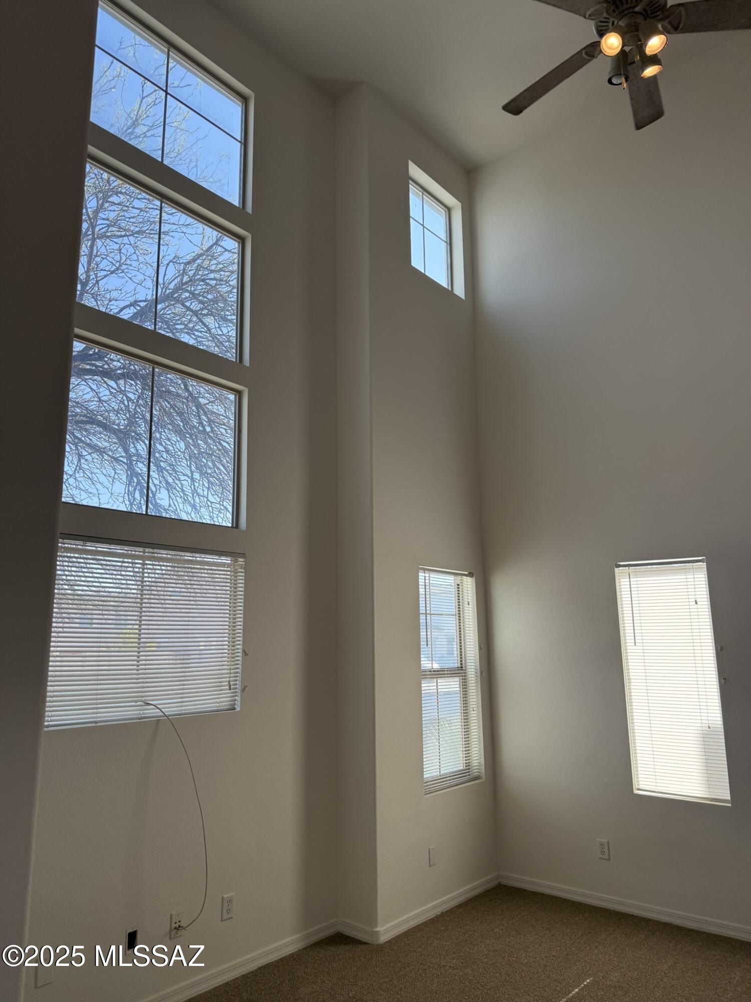 114 E Calle Del Rondador