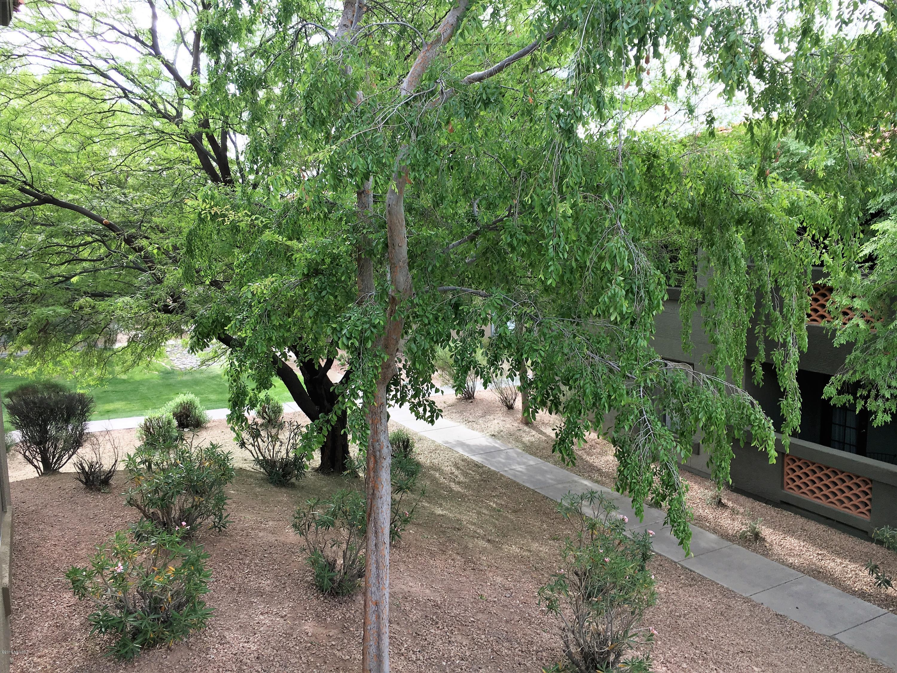 5751 N Kolb Road Unit: 41203