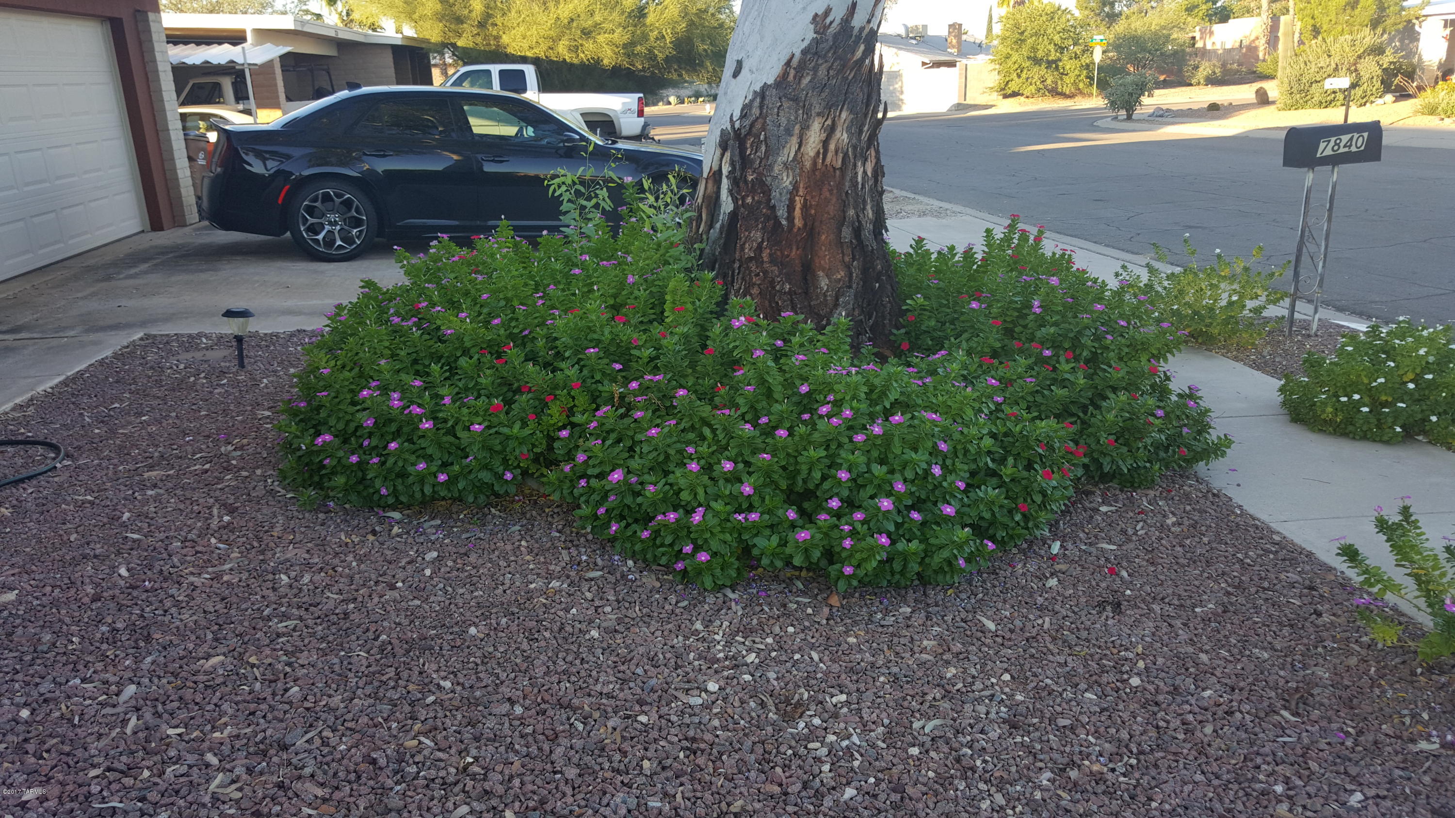 7840 N Rasmussen Avenue