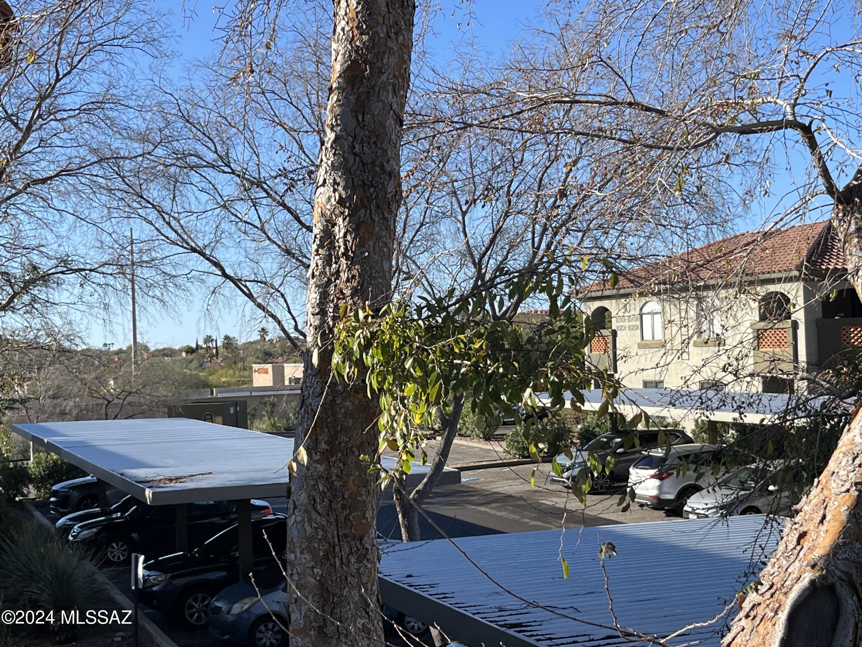 5751 N Kolb Road Unit: 33202