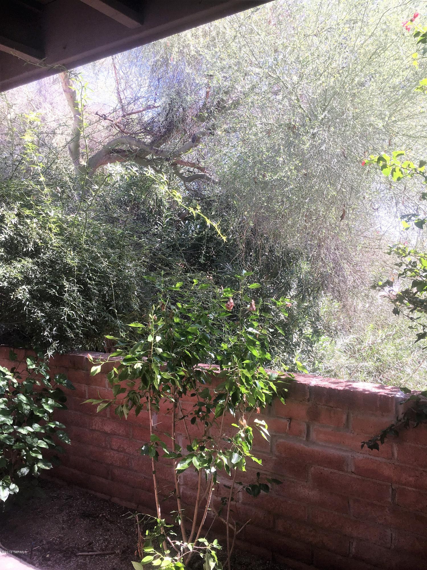 4846 E Placita Arenosa