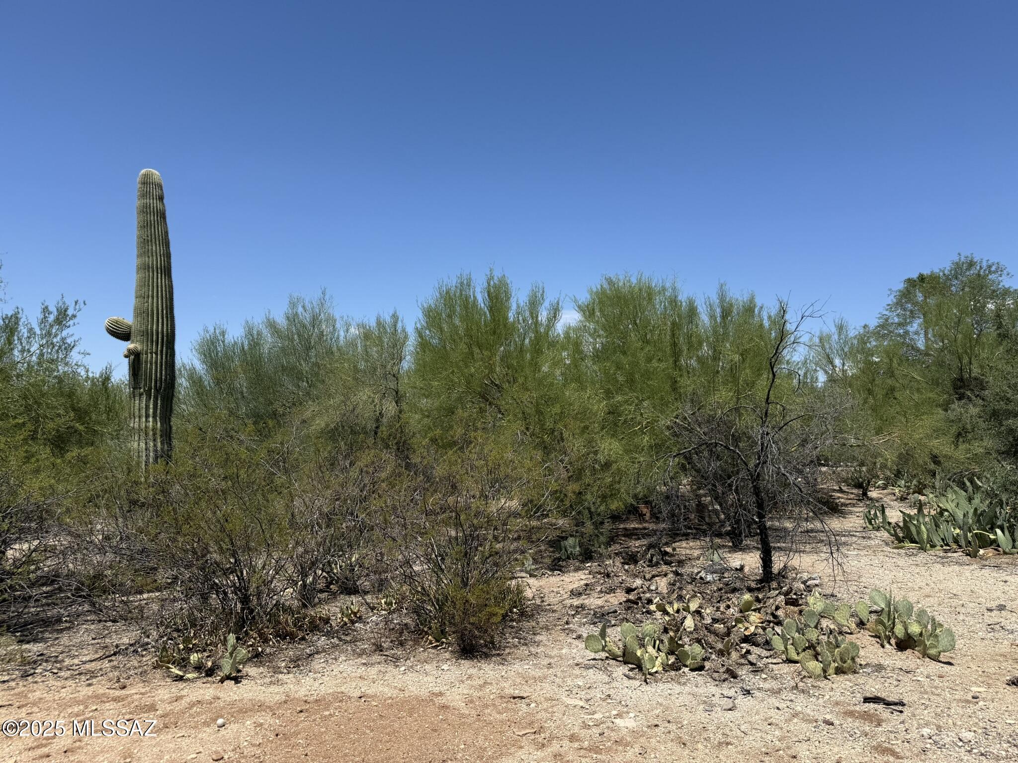 1450 S Corsica Place